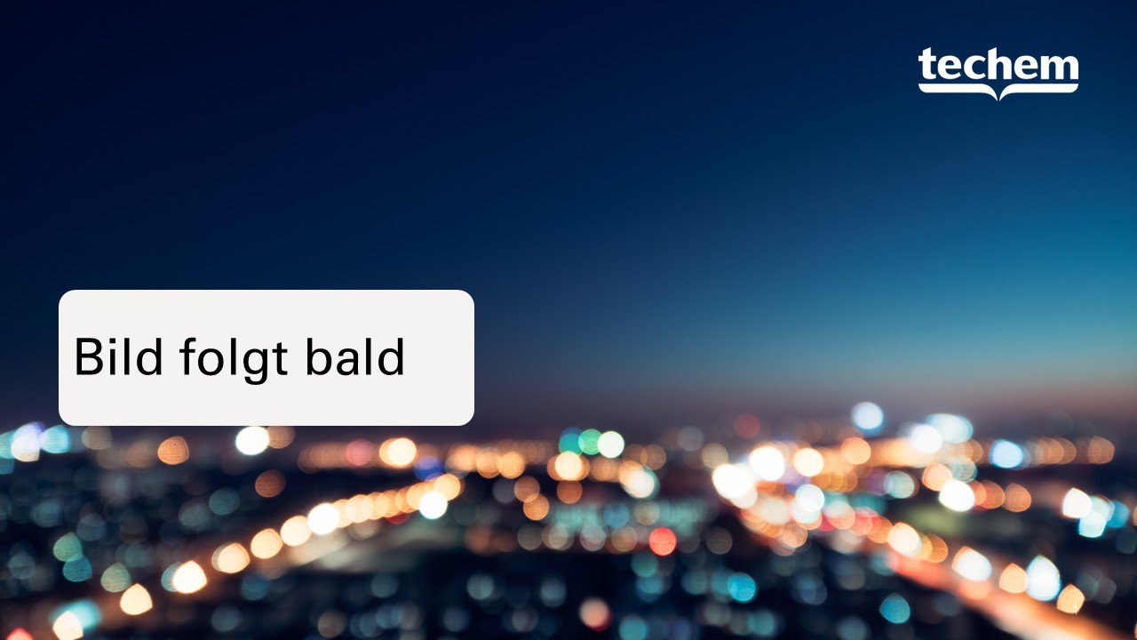 Ausbildungsleitung Techem: Denise Rother