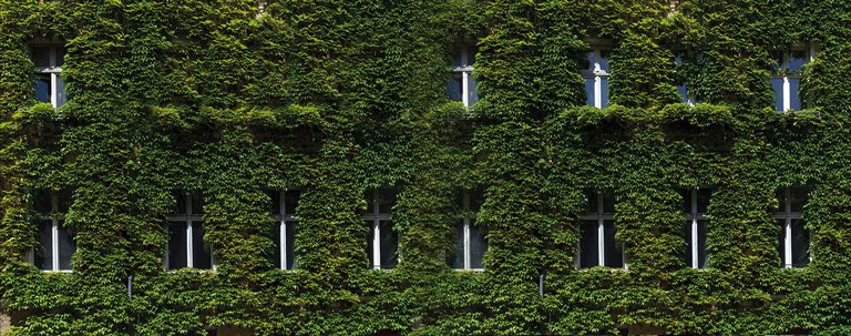 Meet- en afrekenmethodieken van afgenomen energie van voornamelijk collectieve installaties / blokverwarming.  Afrekening energiekosten opstellen door Techem.