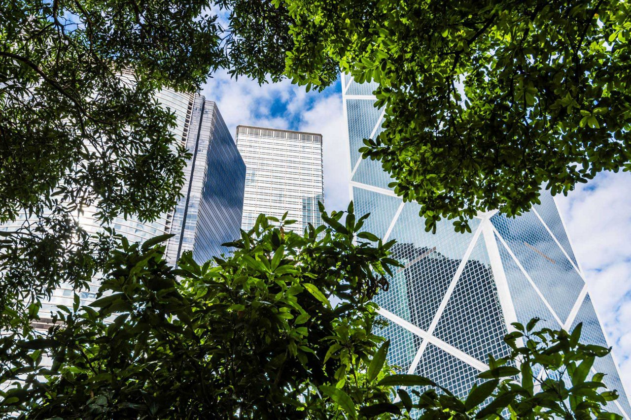 Des immeubles derrière des branches vertes, un ciel nuageux.