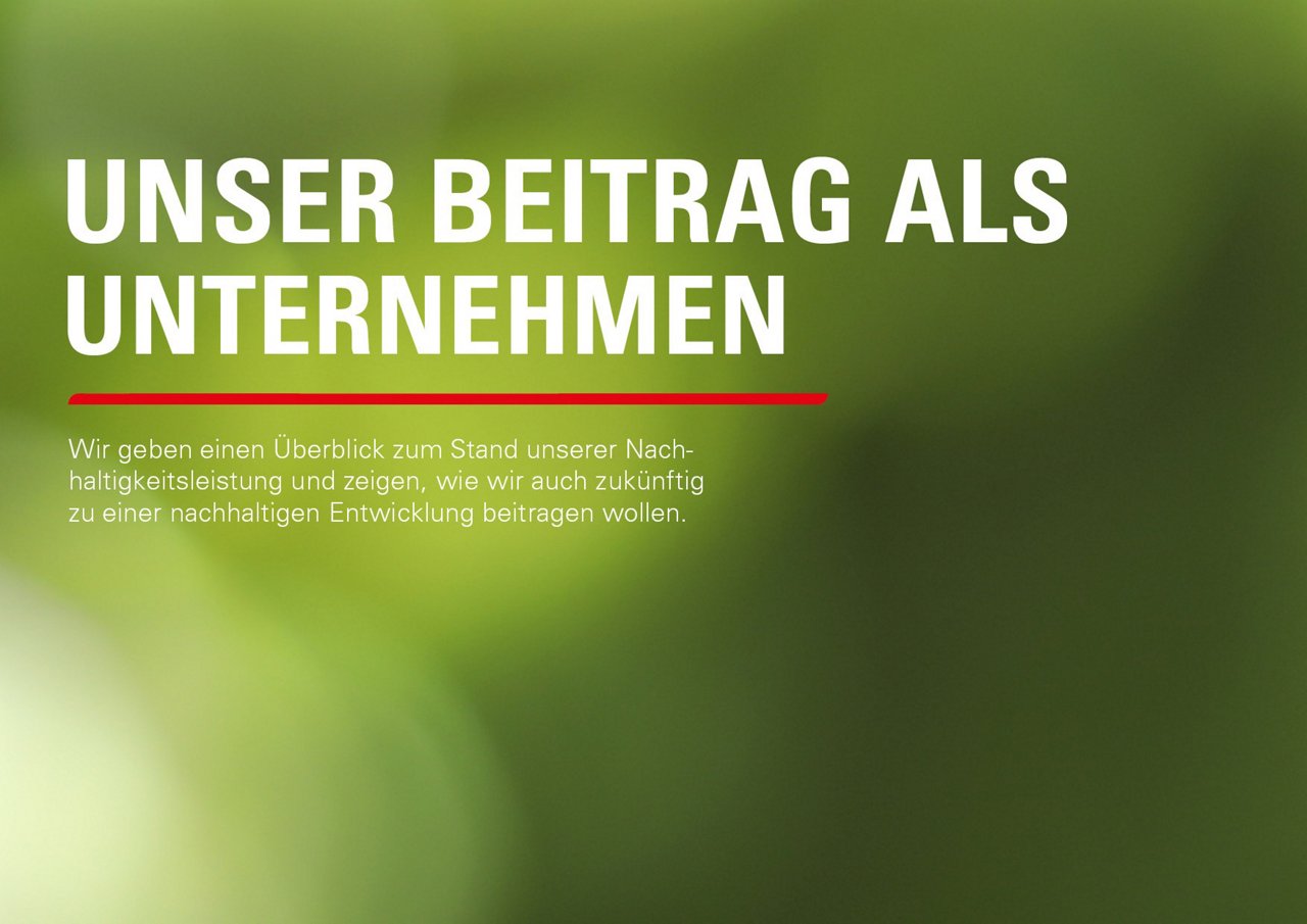 alt-Text: Bild  mit unscharfem grünen Hintergrund zur Einführung Unser Beitrag als Unternehmen